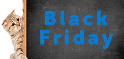 Black Friday at the Animal Shelter