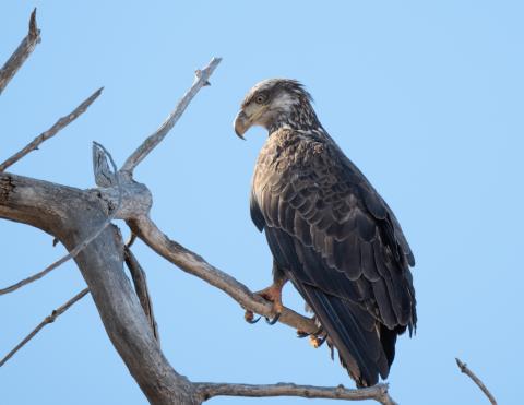 John Tru Photography