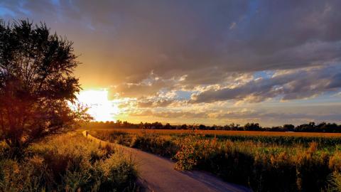 South Platte River, Adams County Trail