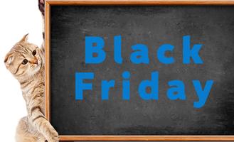 Black Friday at the Animal Shelter